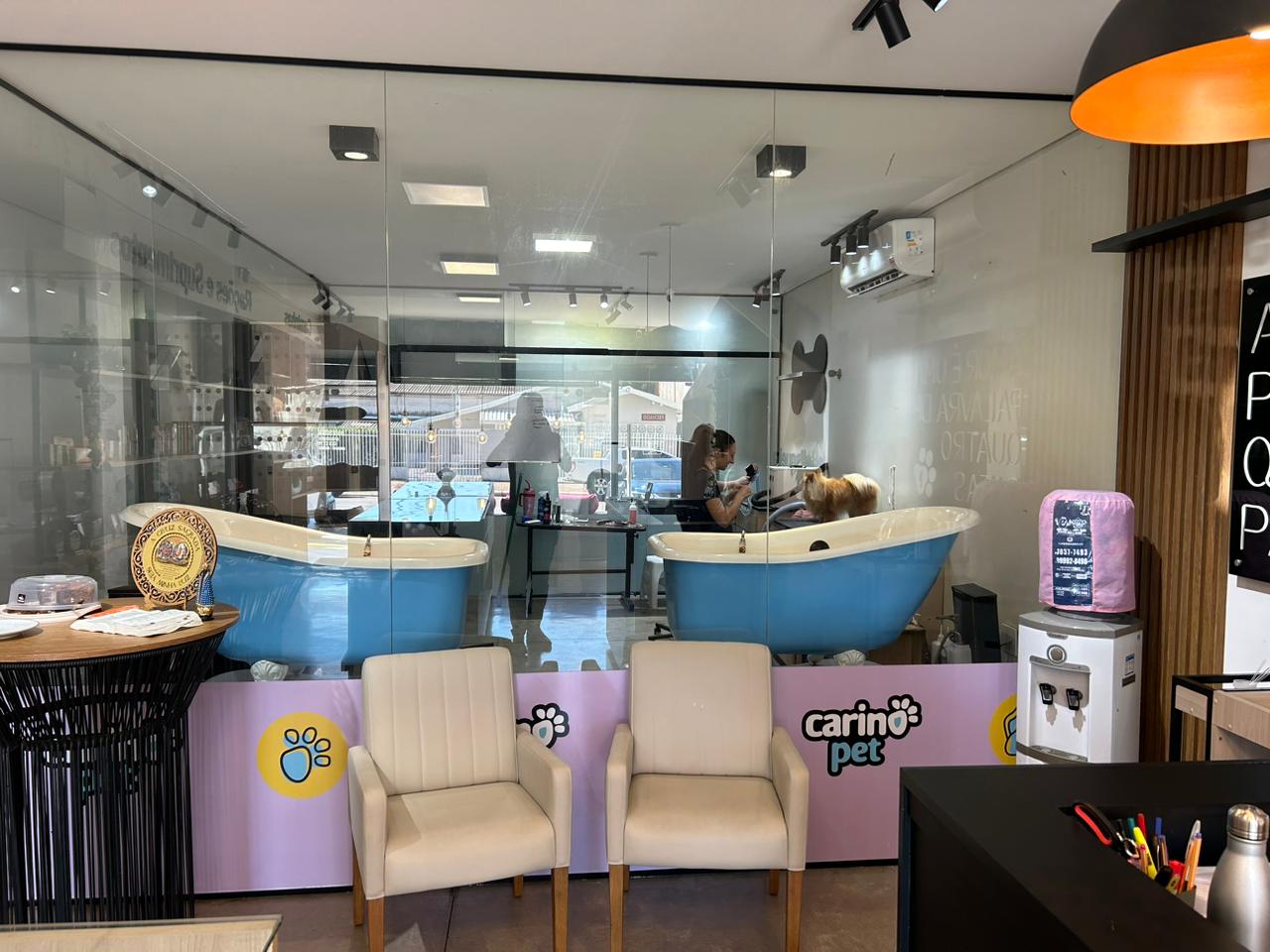 Banho e tosa profissional