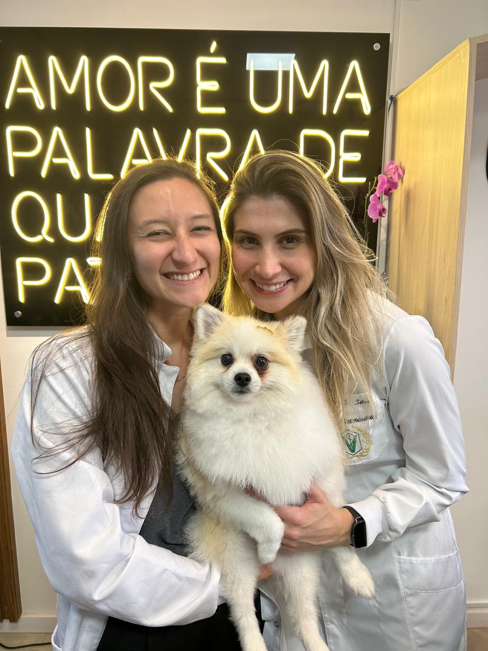 Consultório veterinário