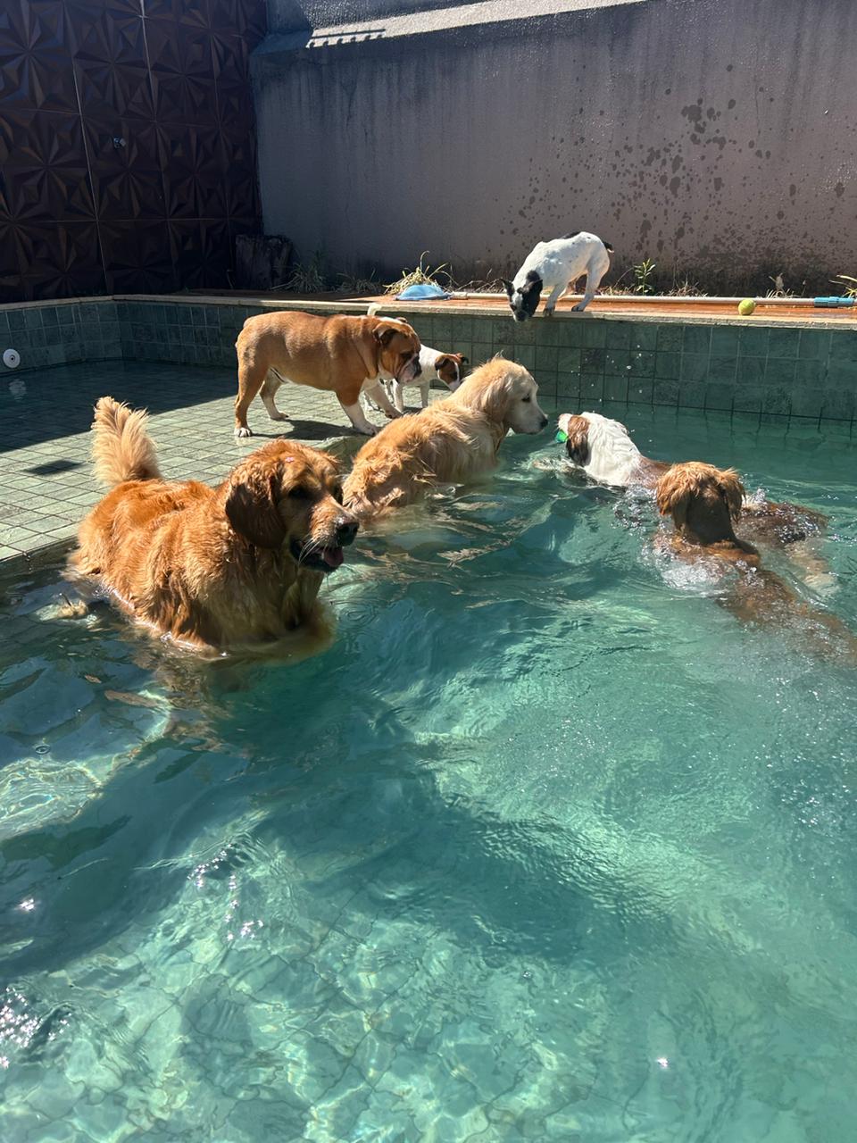 Creche com piscina